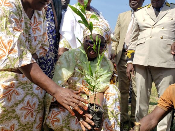 ACTIVITÉ DE PLANTING D’ARBRES A BONDOUKOU SUR LE SITE DE LA FAMILLE KÔKÔ